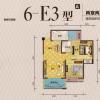 6-E3 两室两厅单卫